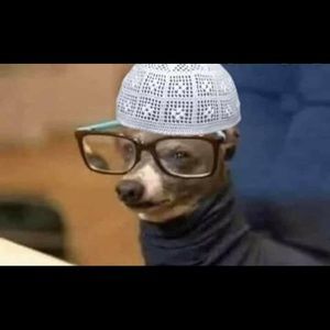 Meet your Posher, Alaeh